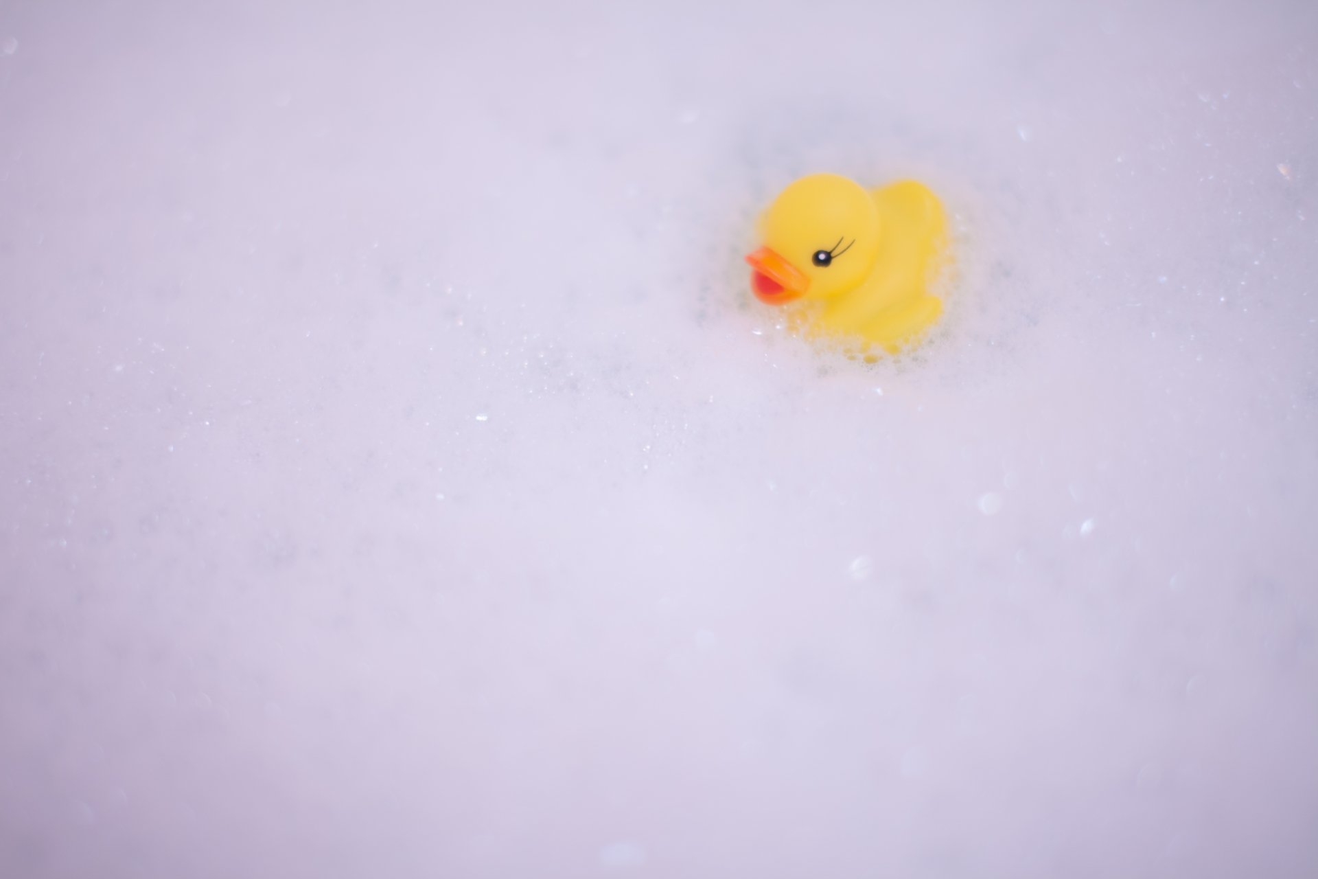 泡風呂のアヒル